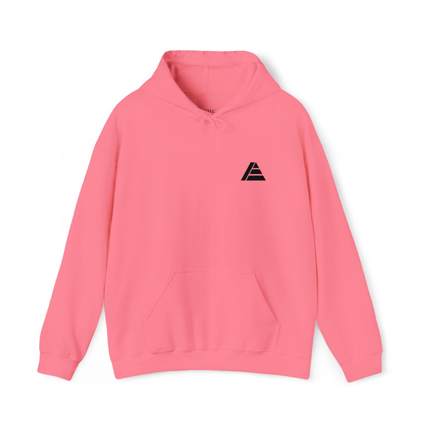 Elevate Logo Embroidered Hoodie (Black)