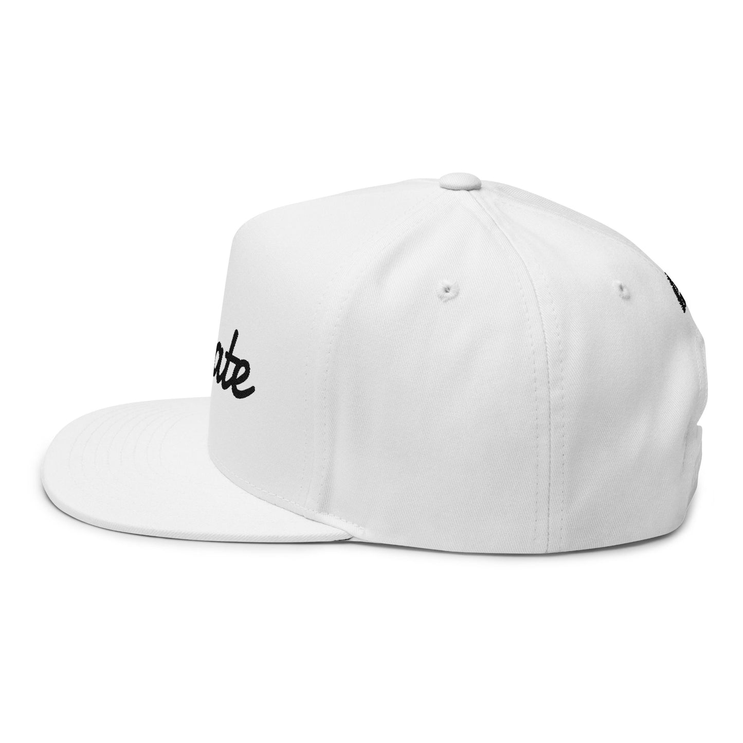 Elevate Embroidered Recovery Hat